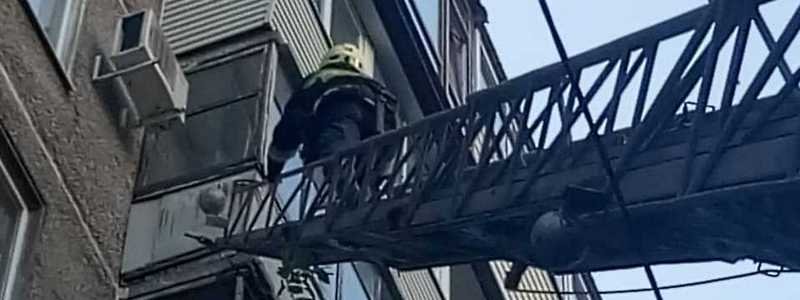 В Днепре спасатели помогли птичке, которая застряла в решетке на 7 этаже
