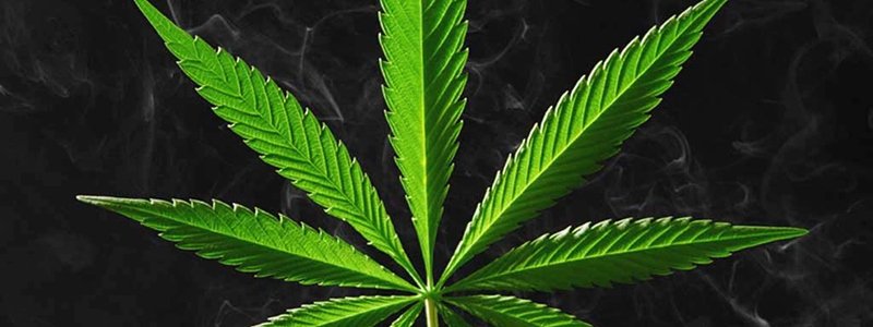 Полиция Днепра изъяла у мужчины 120 кг марихуаны
