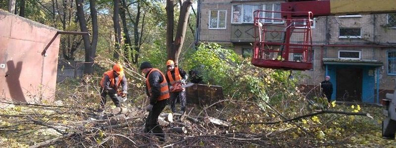 Незаконная вырубка насаждений в Днепре: деревья массово уничтожают (ФОТО)