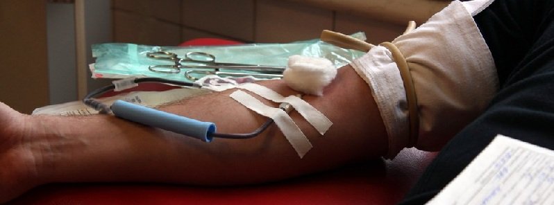 Днепряне сдали более 15 литров крови для онкобольных детей
