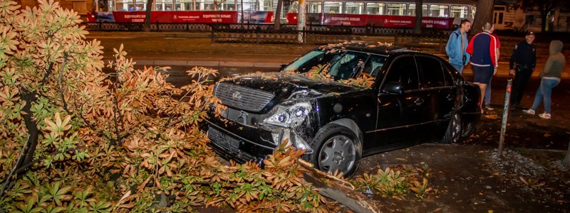 В Днепре на проспекте Яворницкого Lexus столкнулся с Daewoo и снес дерево: пострадал мужчина