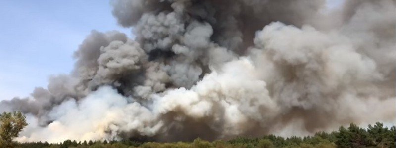 Под Днепром полдня горит лес: дым окутал соседние города