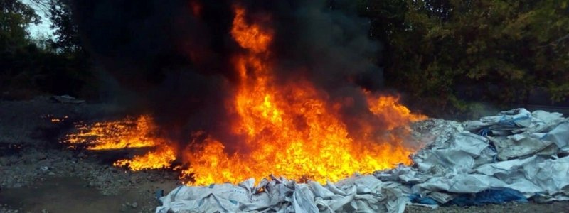 Под Днепром возле Приорельского заказника горел камыш: подробности пожара