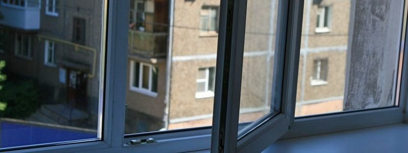 В Днепре голая женщина с котом выпала из окна второго этажа