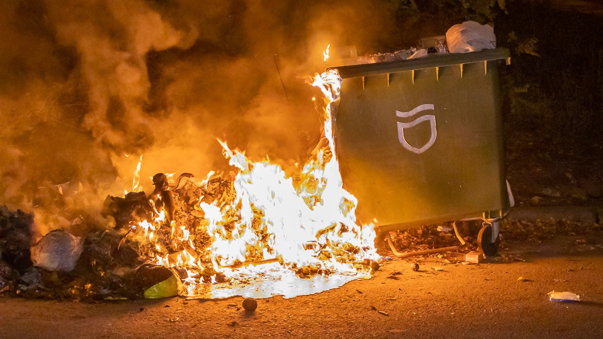 В Днепре на улице Надежды Алексеенко горели мусорные баки
