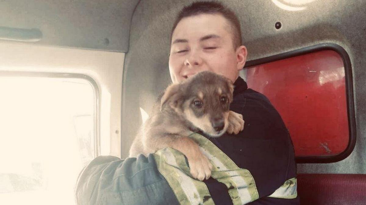 В Днепре спасатели достали щеночка из ямы и ищут ему дом