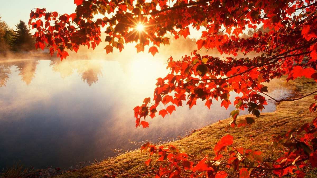 Погода на 19 октября: в Днепре будет пасмурное утро и солнечный день