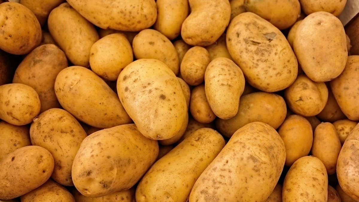 Бюджетные и вкусные рецепты: как приготовить картофель разными способами