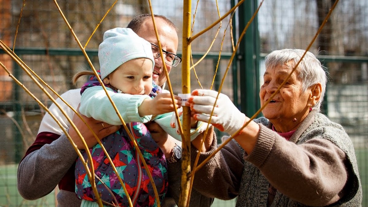 Жителей Левого берега Днепра приглашают посадить Березовый сад