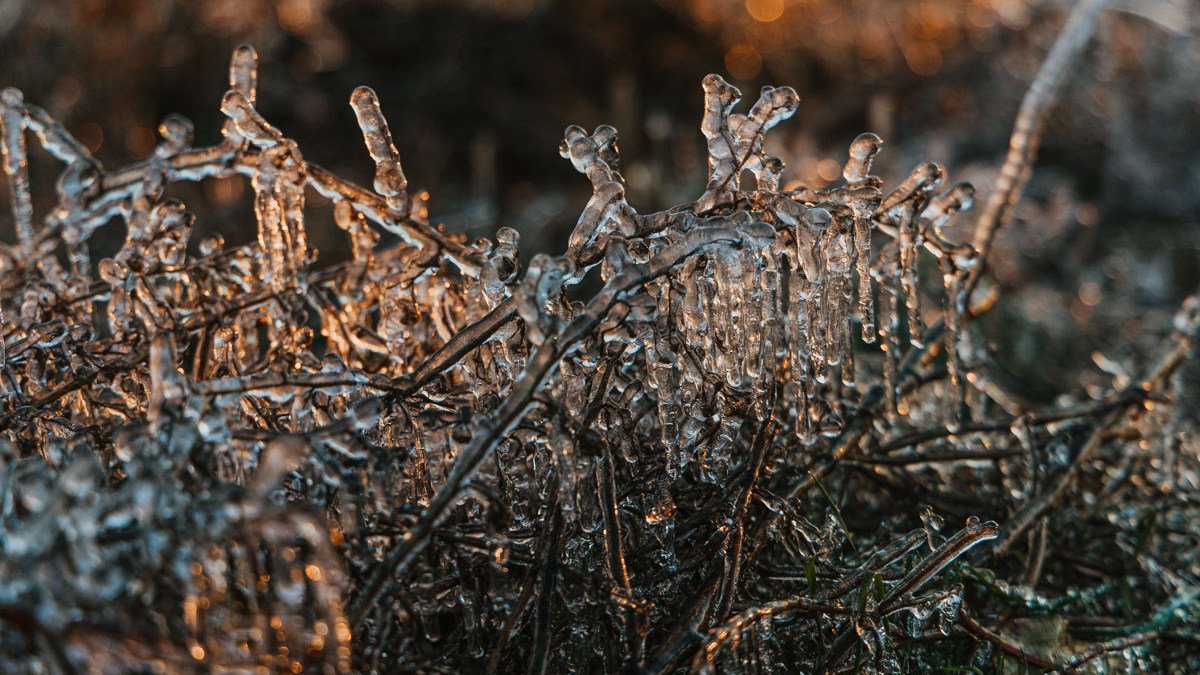 Информатор принес для жителей Днепра первые фото зимы