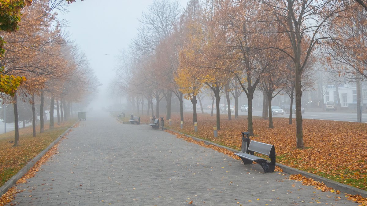В Днепре ожидается густой туман