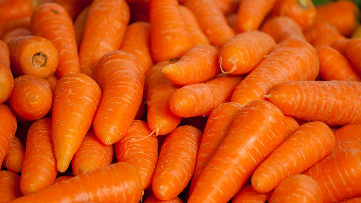 Бюджетные и вкусные рецепты: как приготовить морковь разными способами
