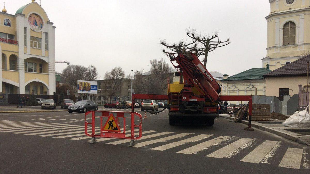 В центре Днепра начали высаживать деревья