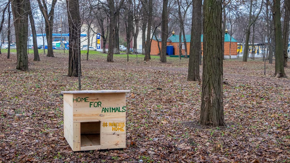 В Днепре молодые люди строят будки, чтобы спасти бездомных собак