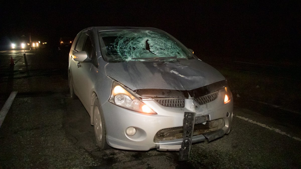 На Криворожском шоссе Mitsubishi насмерть сбил мужчину: полиция ищет свидетелей