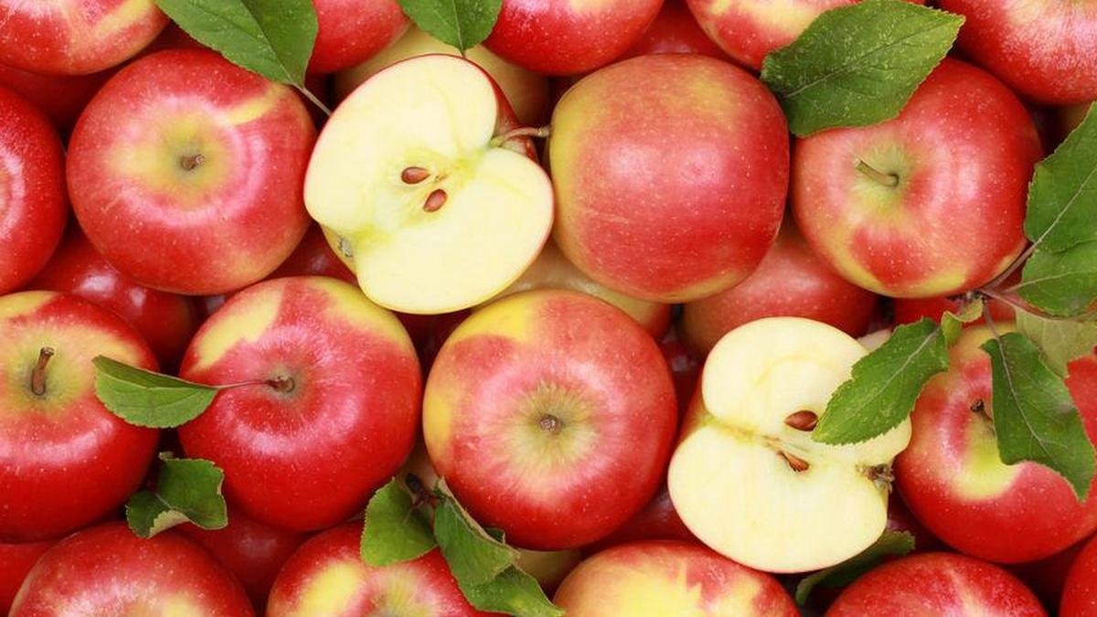 Бюджетные и вкусные рецепты: как приготовить яблоки разными способами