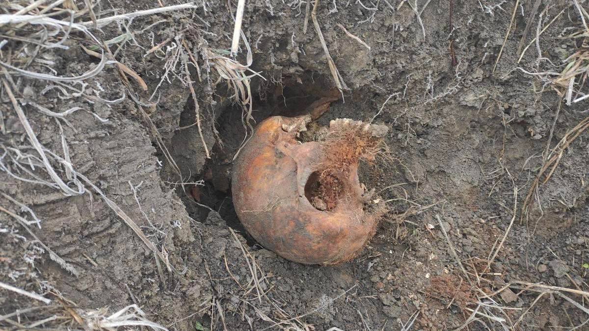 В Днепре возле парка Памяти и Примирения нашли человеческий череп