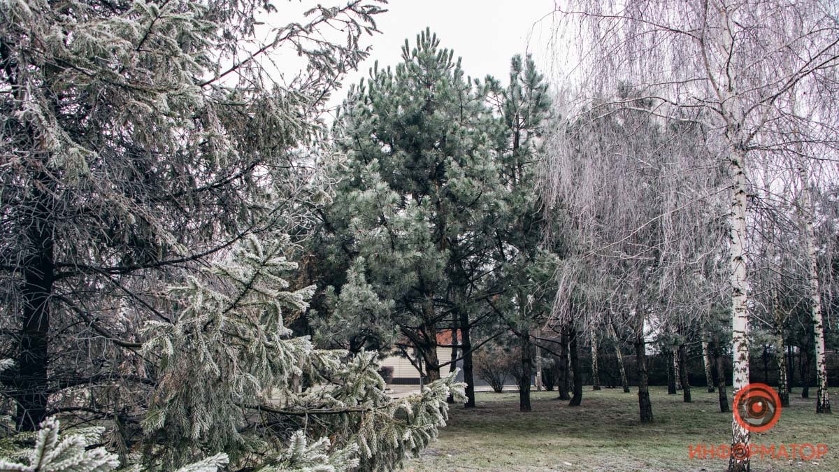 Пустота и спокойствие: как выглядит парк "Сагайдак" зимним днем