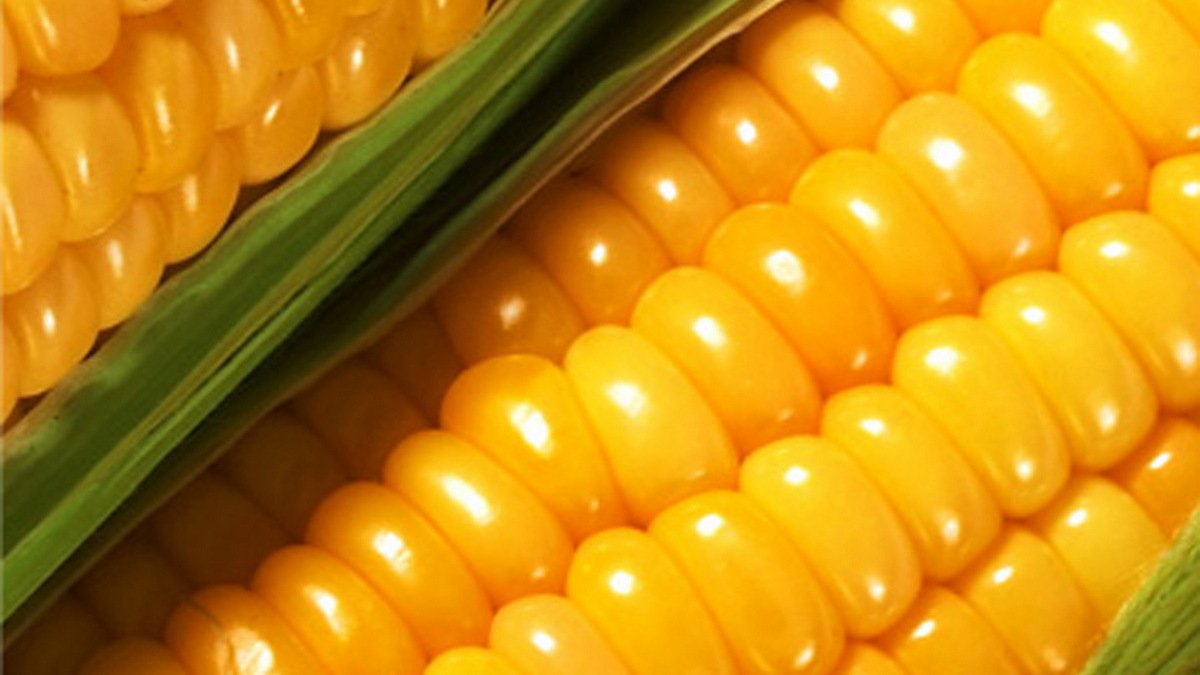 Бюджетные и вкусные рецепты: как приготовить кукурузу разными способами