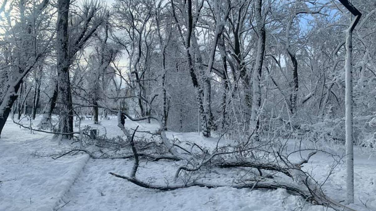 Последствия непогоды: волонтеров приглашают на уборку парка Гагарина в Днепре