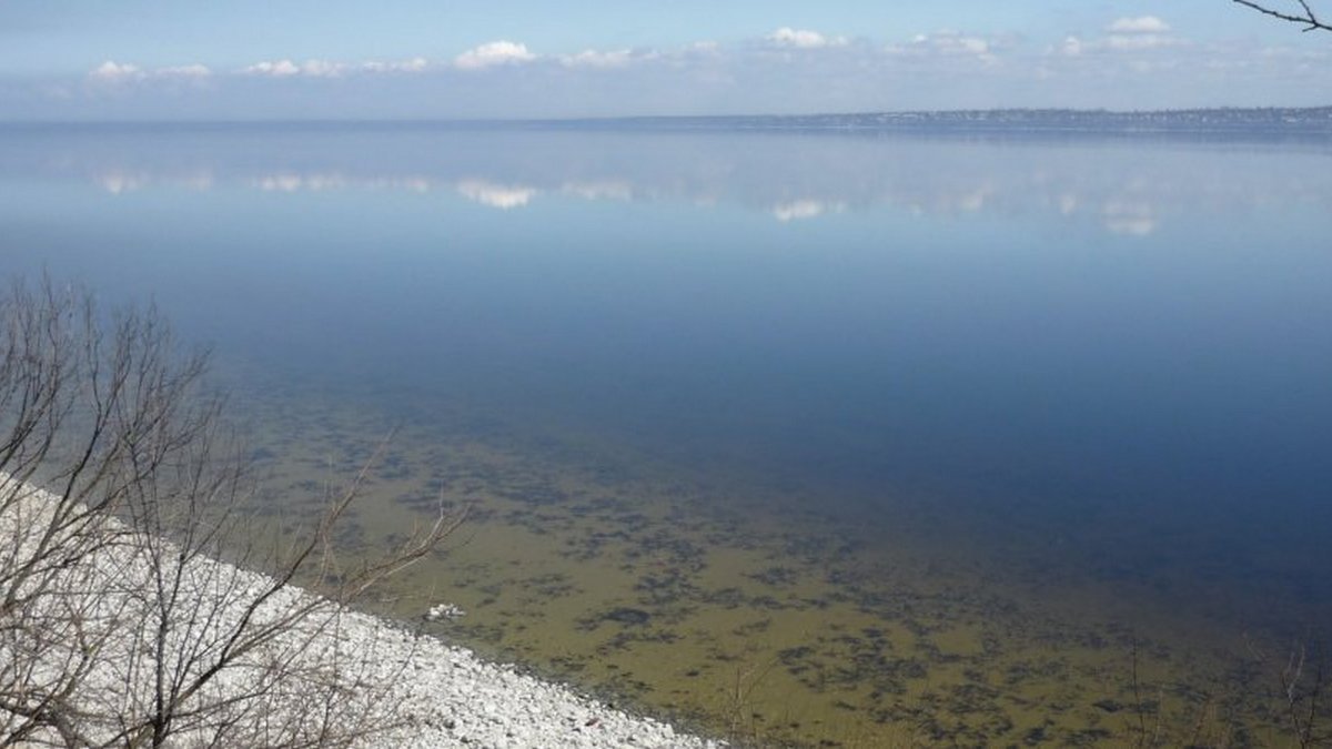 В Каховском водохранилище нашли пестициды: закрыли школы и сады