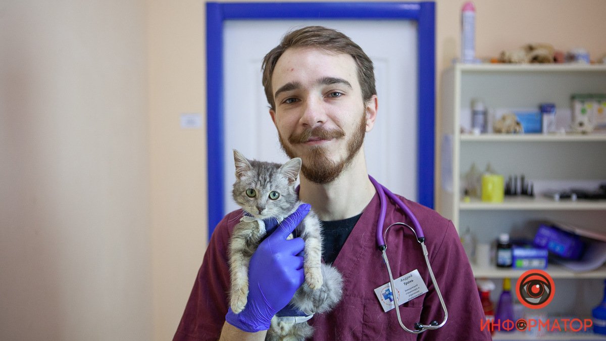 Хочу работать ветеринаром: врач из Днепра рассказал о мужиках-котиках, раненых птичках и странных людях