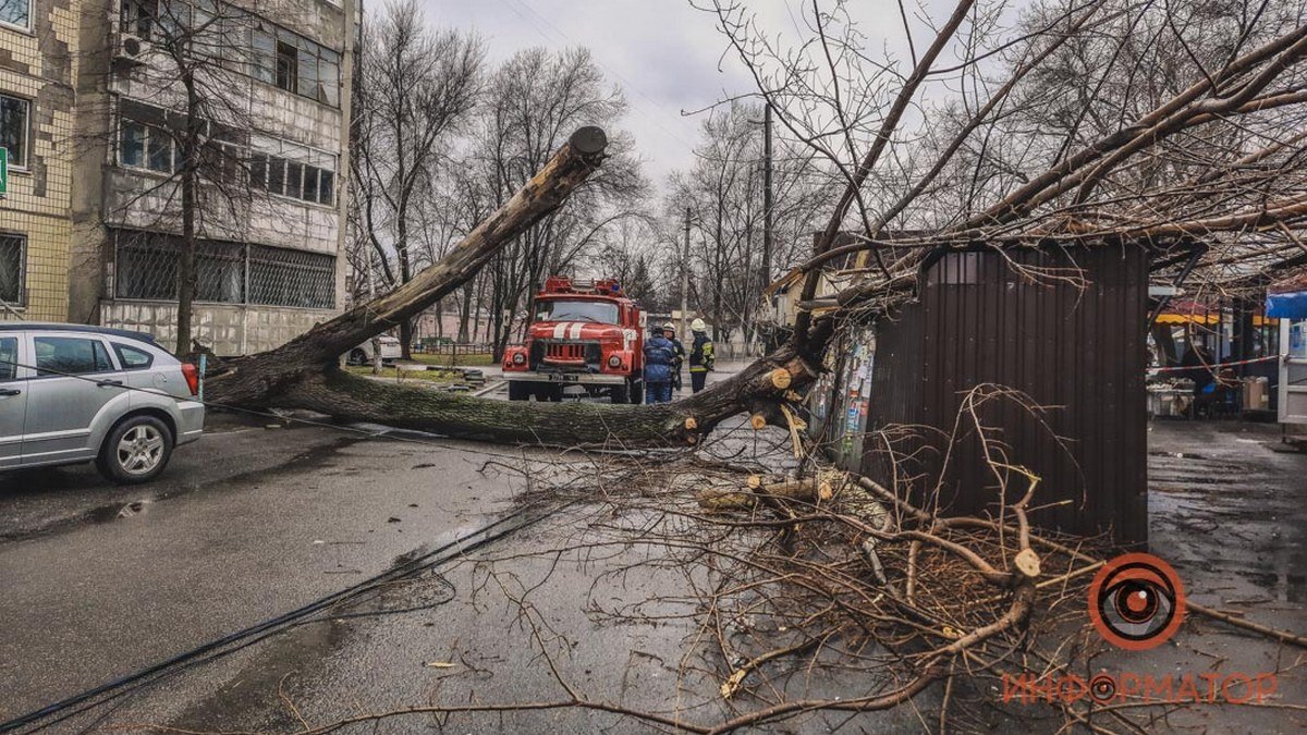 В Днепре на Янтарной упавшее дерево перегородило проезд