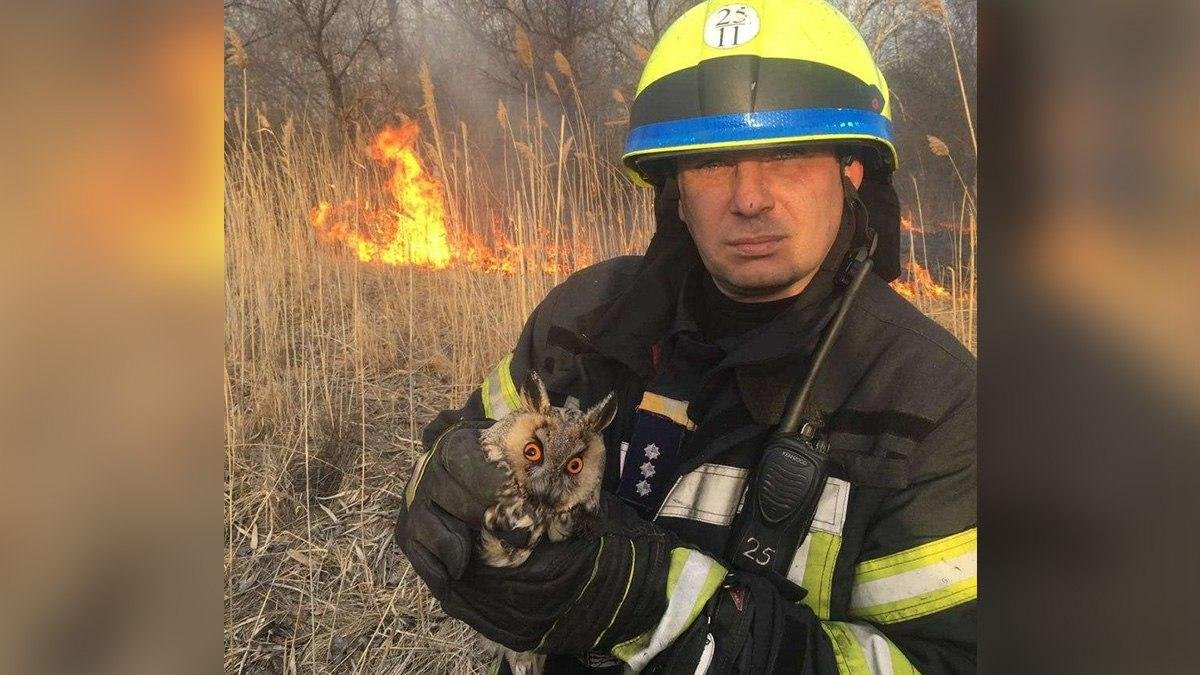 В Днепре спасатели вытащили из пожара сову
