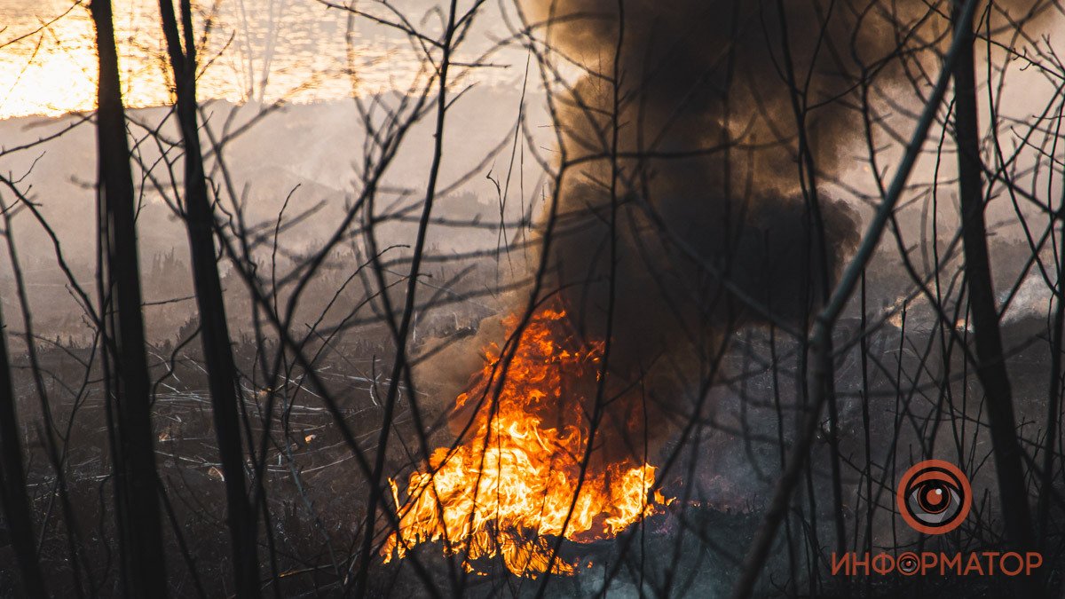 В Днепре в районе Байкальской горел камыш: дымом затянуло весь район