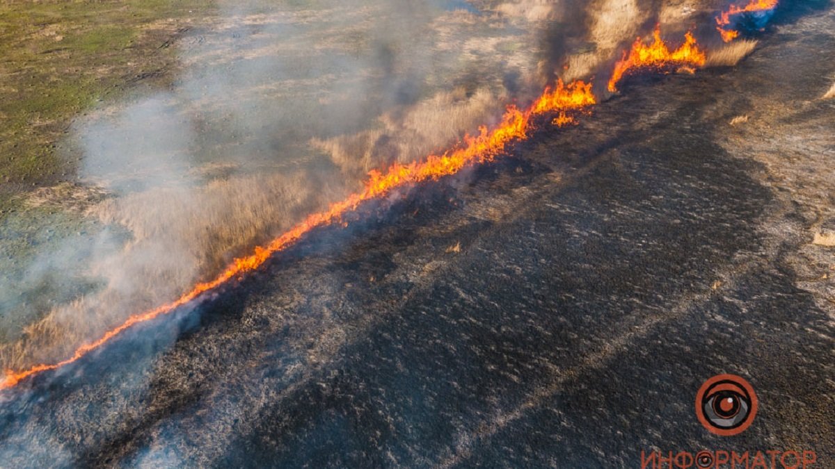 Сильный пожар возле Полтавского шоссе в Днепре: выгорело 2 гектара