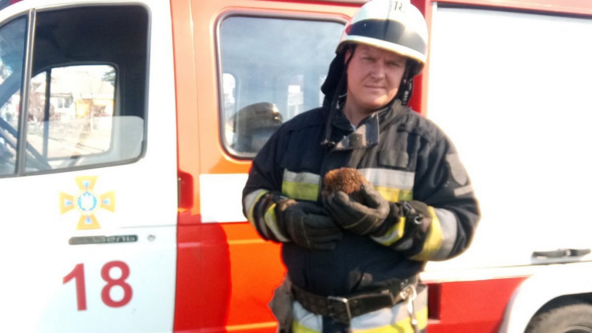 Жители Днепра продолжают жечь траву: спасателям удалось достать из огня ежика