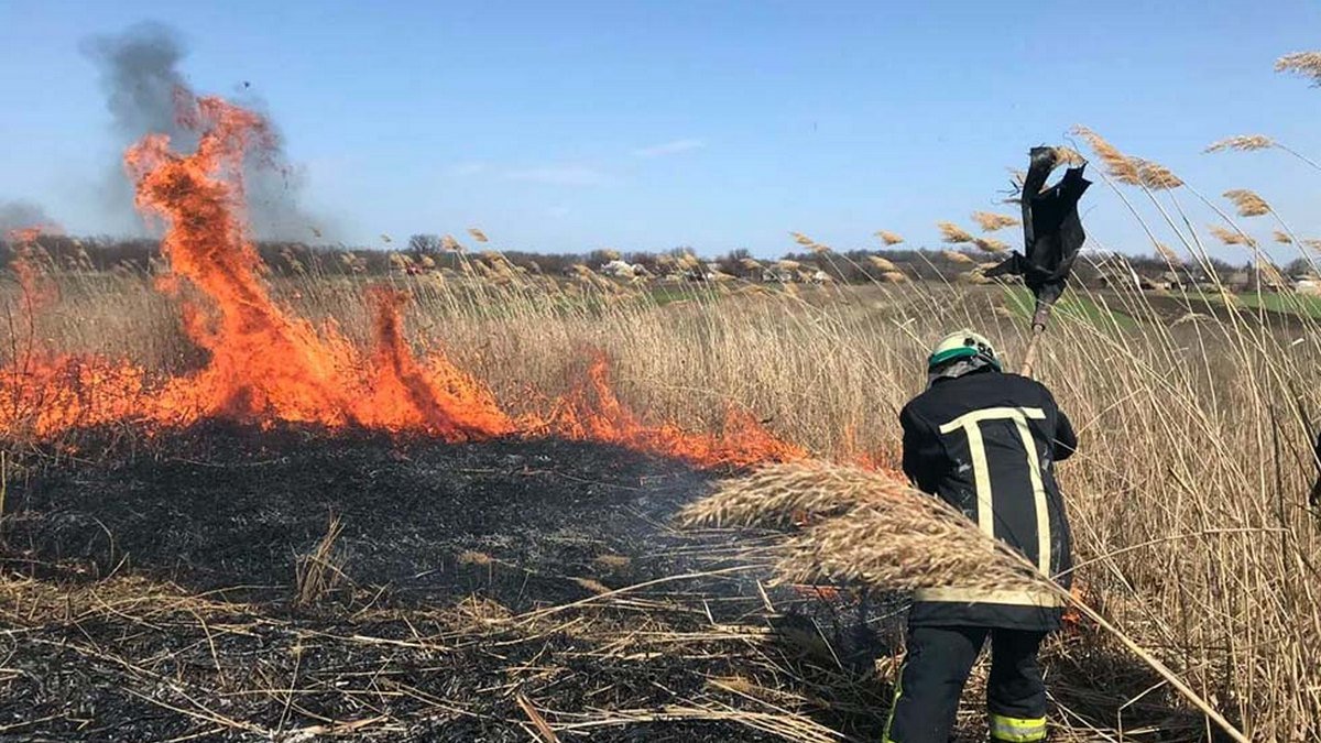 В Днепропетровской области люди продолжают сжигать траву, уничтожая все живое