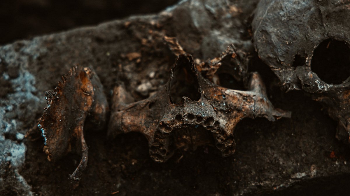 В Днепре на Запорожском шоссе в земле нашли человеческий череп и кости