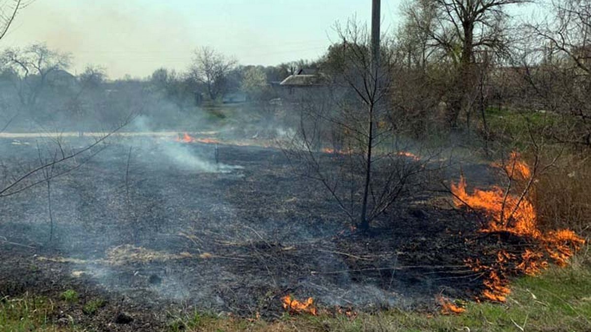 В Украине любители сжигать сухостой будут платить штрафы до 30 600 гривен