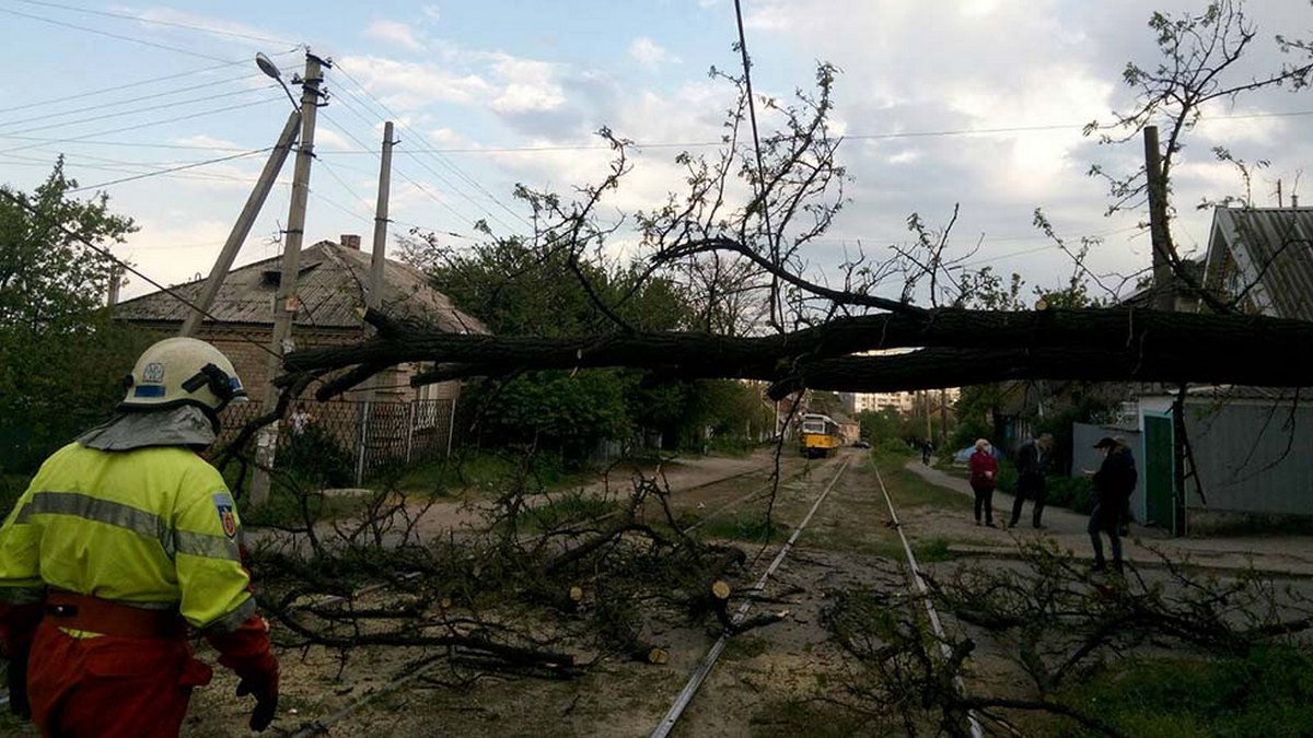 В Днепре дерево заблокировало движение трамвая №15: вызывали спасателей