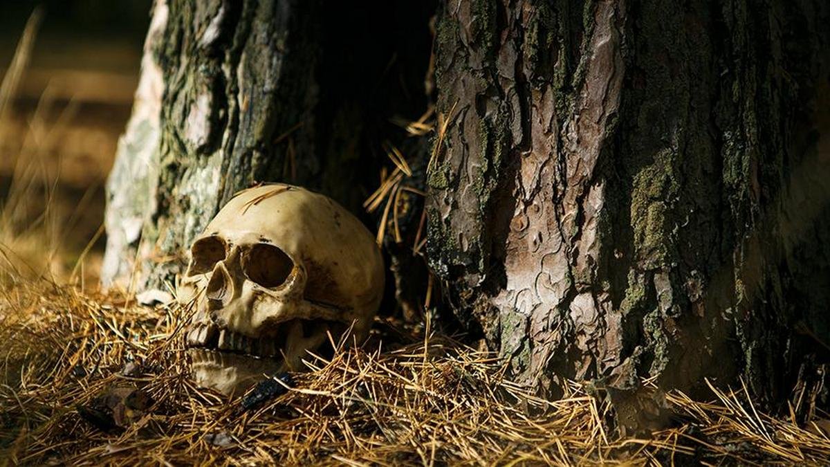 В Днепре во дворе частного дома нашли человеческий череп