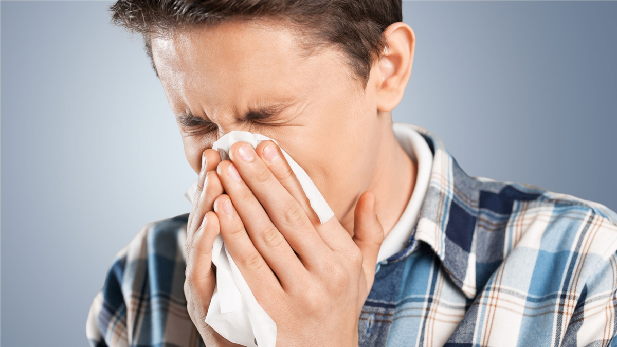Сезонные аллергии: как бороться