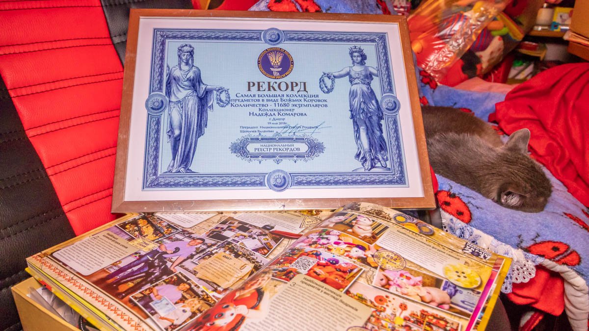 Женщина из Днепра побила мировой рекорд коллекцией божьих коровок