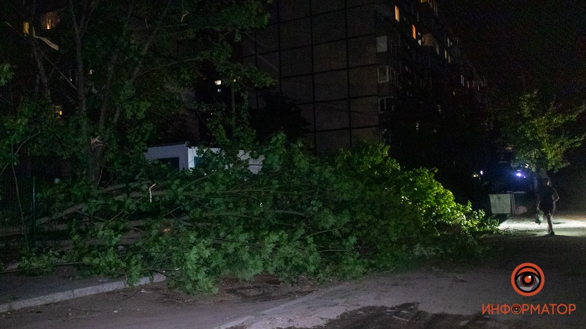 В Днепре в Штурманском переулке упавшее дерево оборвало провода и перегородило дорогу
