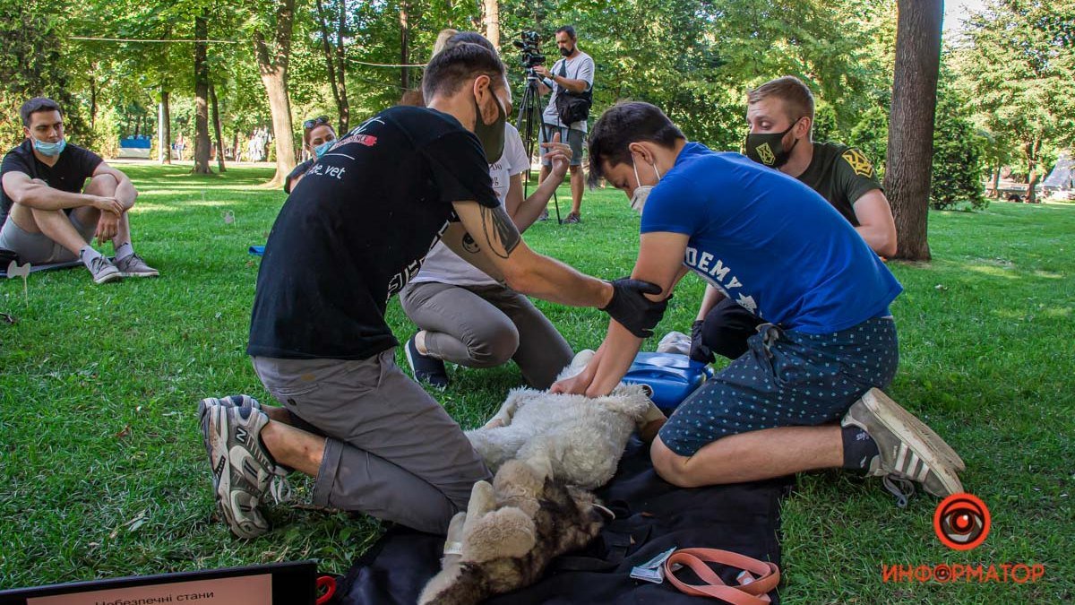 В сквере Героев провели первый в Днепре бесплатный тренинг по оказанию помощи животным