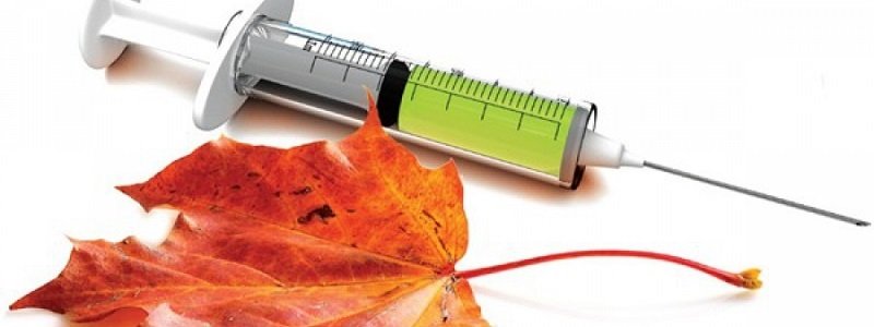 Почему в аптеках Днепра до сих пор нет вакцин от гриппа