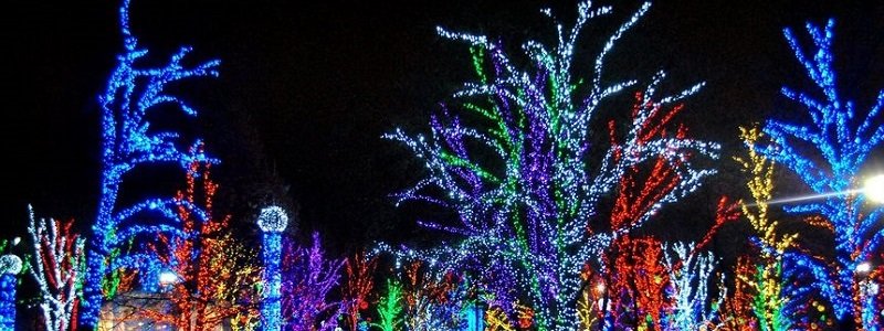 Парк Глобы украшают к Новому году (ФОТО)