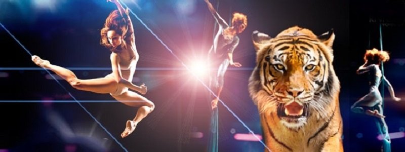 В Днепре пройдет цирковой фестиваль