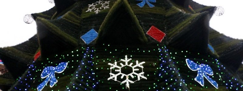 В центре Днепра установили новогоднюю елку (ФОТО)