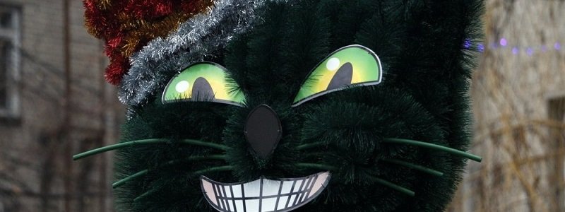 В Днепре появился зеленый кот-елка (ФОТО)