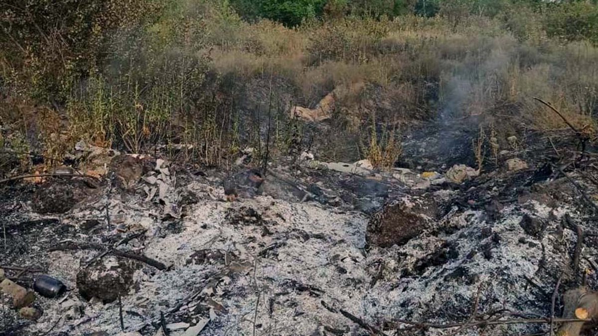 В Днепре сгорело 3 гектара сухостоя