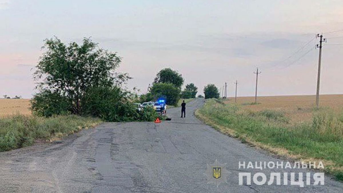 Недалеко от Днепра Volkswagen влетел в дерево: погиб 18-летний парень