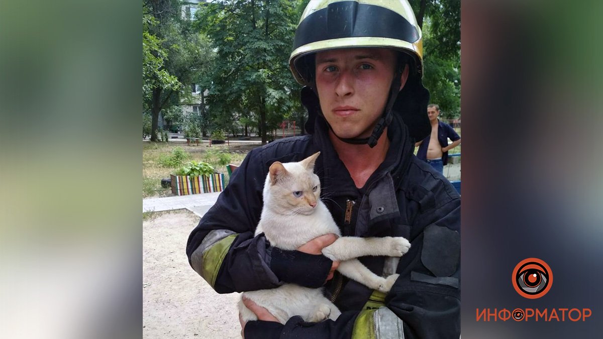 В Днепре на Любарского котик упал в трехметровую яму и звал на помощь