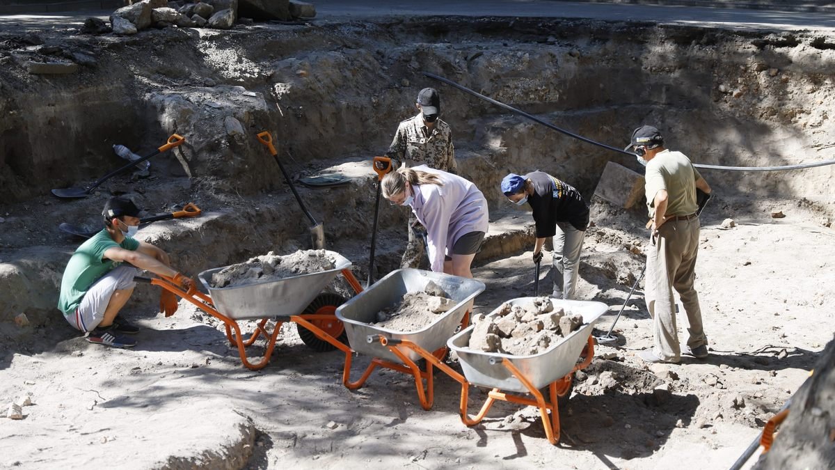 В Севастопольском парке во время раскопок обнаружили склеп с двумя скелетами