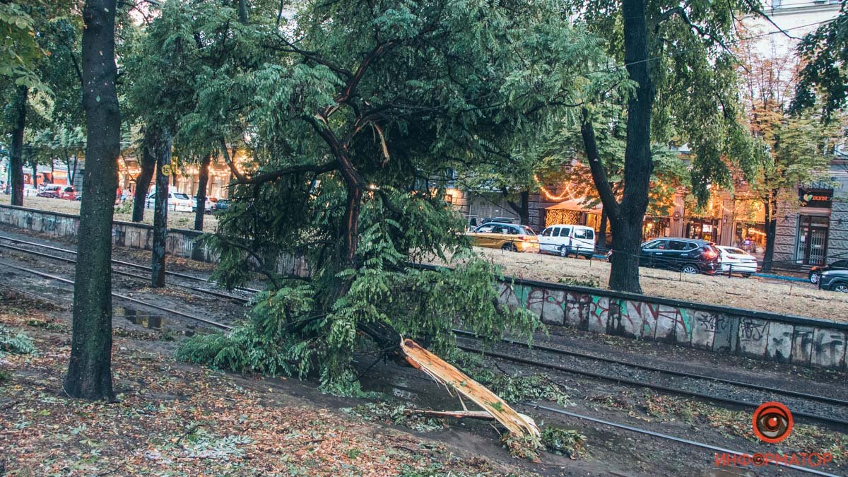 В Днепре из-за ветра на проспекте Яворницкого оборвались провода: трамваи стоят